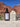 Tallow Liquid Soap